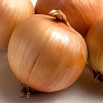 Лук Репчатый Золотничок
